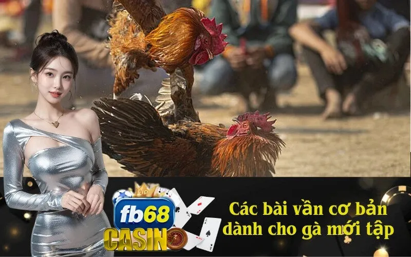 Các bài vần cơ bản dành cho gà mới tập