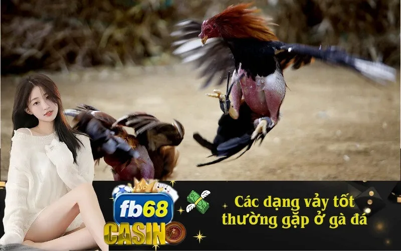 Các dạng vảy tốt thường gặp ở gà đá