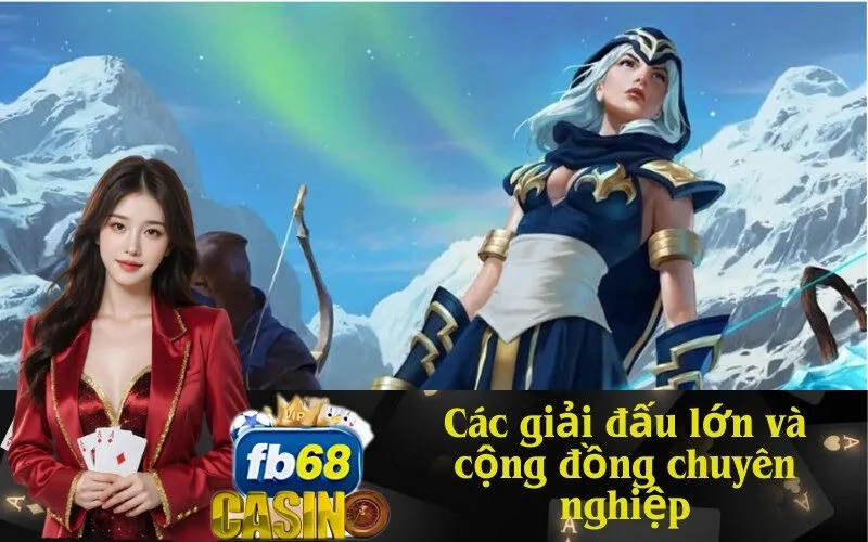 Các giải đấu lớn và cộng đồng chuyên nghiệp