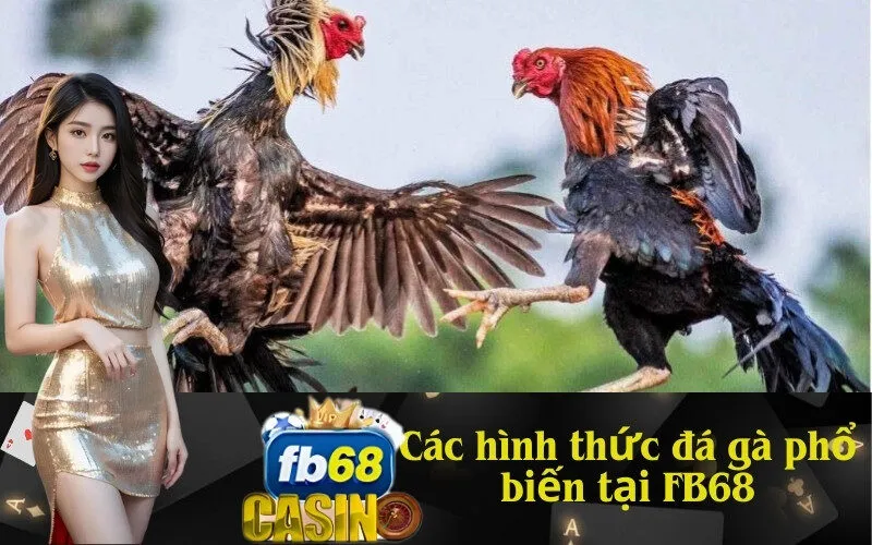 Các hình thức đá gà phổ biến tại FB68