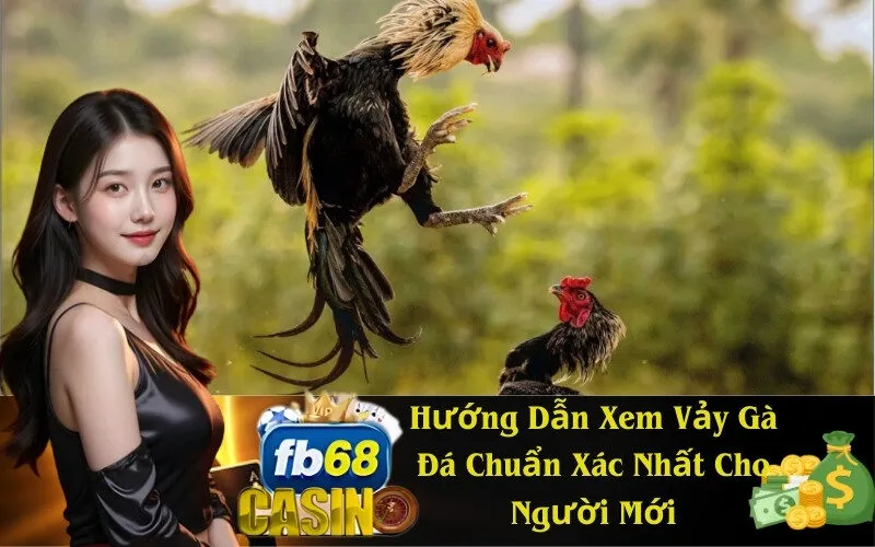 Hướng Dẫn Xem Vảy Gà Đá Chuẩn Xác Nhất Cho Người Mới