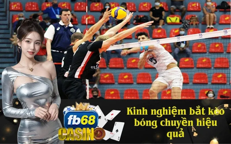 Kinh nghiệm bắt kèo bóng chuyền hiệu quả 