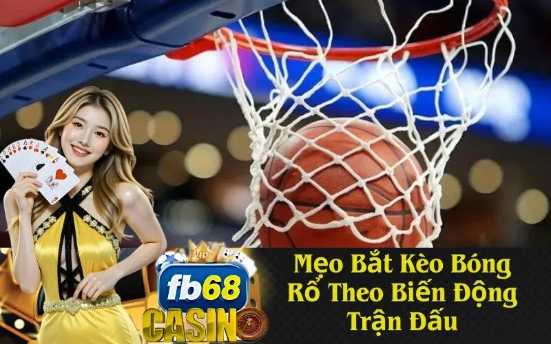 Mẹo Bắt Kèo Bóng Rổ Theo Biến Động Trận Đấu