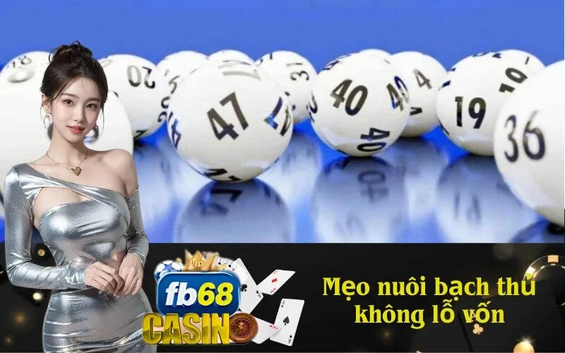 Mẹo nuôi bạch thủ không lỗ vốn