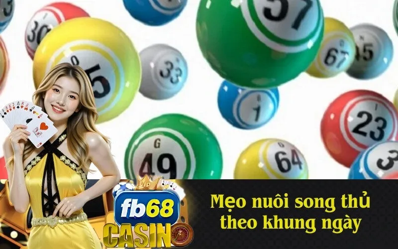 Mẹo nuôi song thủ theo khung ngày
