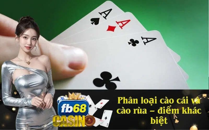 Phân loại cào cái và cào rùa – điểm khác biệt